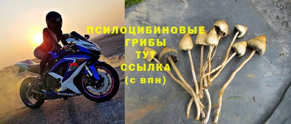 амфетамин Богородицк