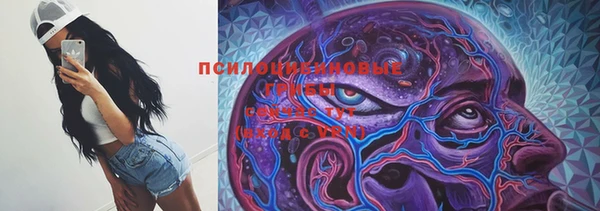 амфетамин Богданович