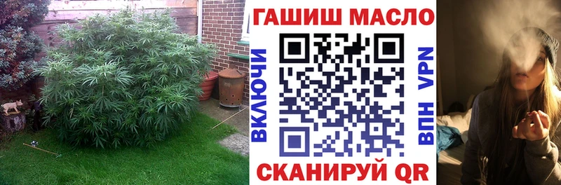 ОМГ ОМГ вход  Мирный  Дистиллят ТГК THC oil 