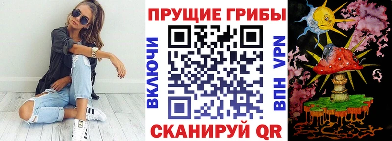 shop Telegram даркнет сайт Мирный Галлюциногенные грибы Psilocybe